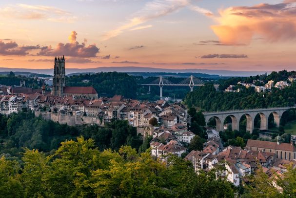 Freiburg MED-Spezialisten Standorte